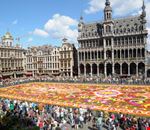 bruxelles tappeto di fiori nella grand place bruxelles tappeto di fiori nella grand place