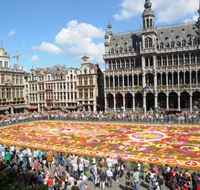 bruxelles tappeto di fiori nella grand place bruxelles tappeto di fiori nella grand place