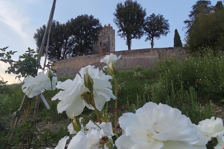 castello-del-gallo