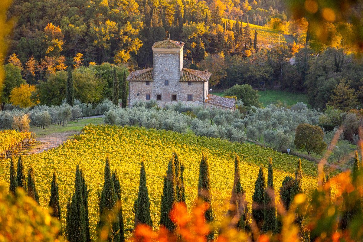 chianti