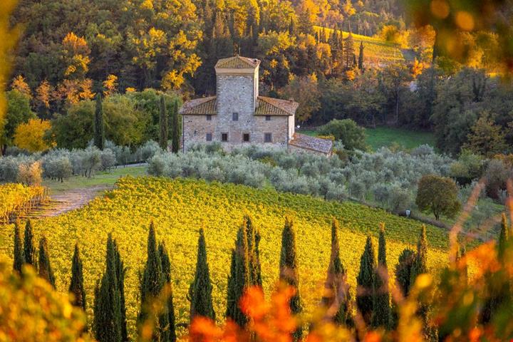 chianti
