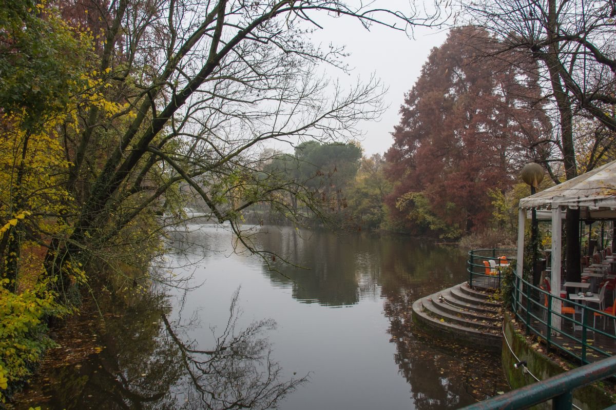 Dove vedere il foliage in 5 grandi città italiane