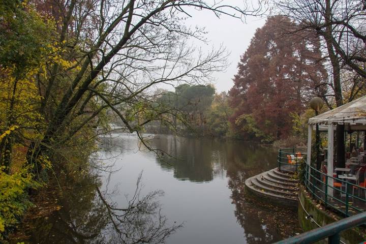 Dove vedere il foliage in 5 grandi città italiane