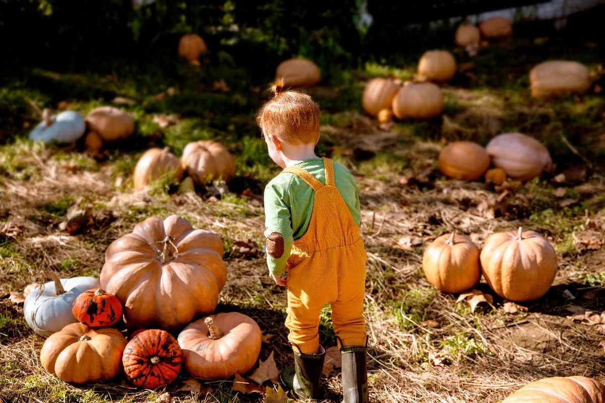 Non devi volare fino in America: a ottobre visita questi campi di zucche in Italia per un autunno indimenticabile