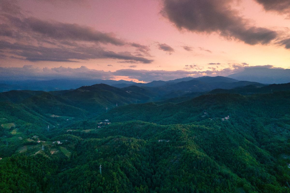 I tartufi più buoni del mondo li trovi nelle Marche: la regione regina dell'autunno ti aspetta!