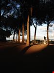 Viale Alberato Acquedotti