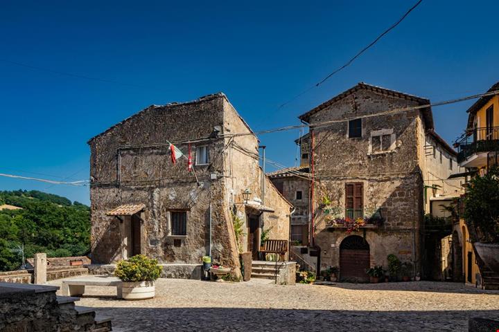 foglia_2251564063