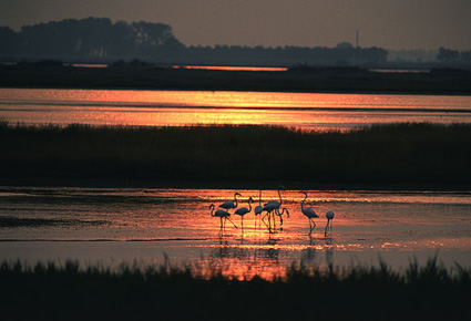 Tramonto a Valle Bertuzzi