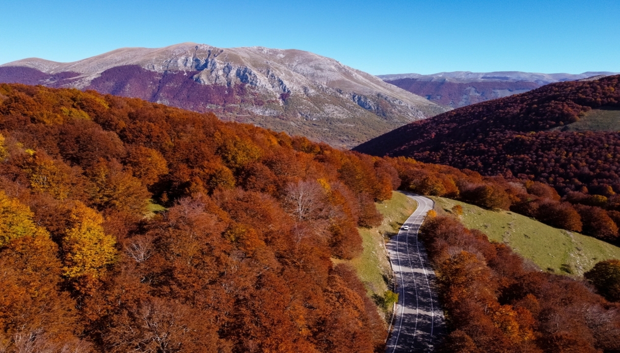 forca-acero-panorama