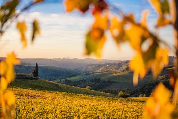 chianti_2355357935