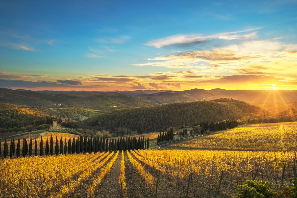 È lei la strada più bella della Toscana: lungo le sue curve puoi scoprire i 3 borghi del vino della regione