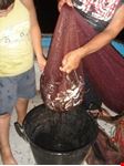 pesca notturna