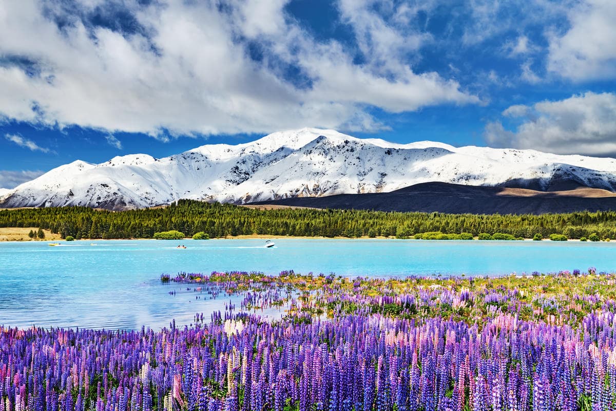 lago-tekapo_2579694933