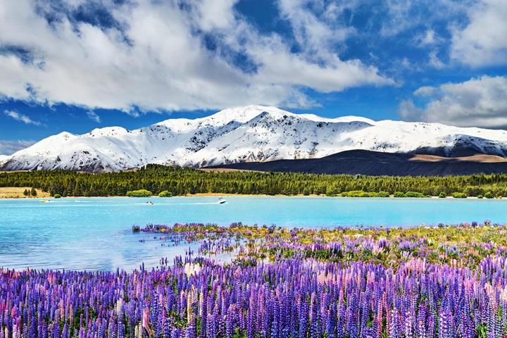 lago-tekapo_2579694933