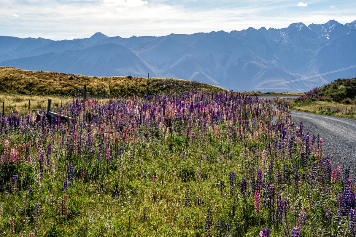 Su questo lago la fioritura più bella avviene a novembre, ma non è per questo che ti stupirà