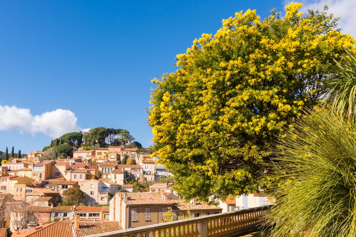 3 borghi della Costa Azzurra dove l'inverno sembra non voler arrivare: sole e bellezza qui durano 365 giorni all'anno