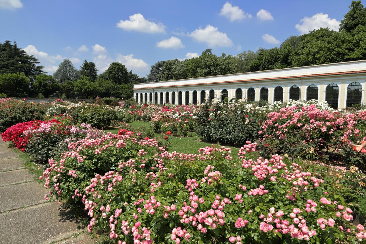 Anche Milano ha la sua Reggia: l'autunno è la stagione migliore per scoprire i suoi magnifici Giardini