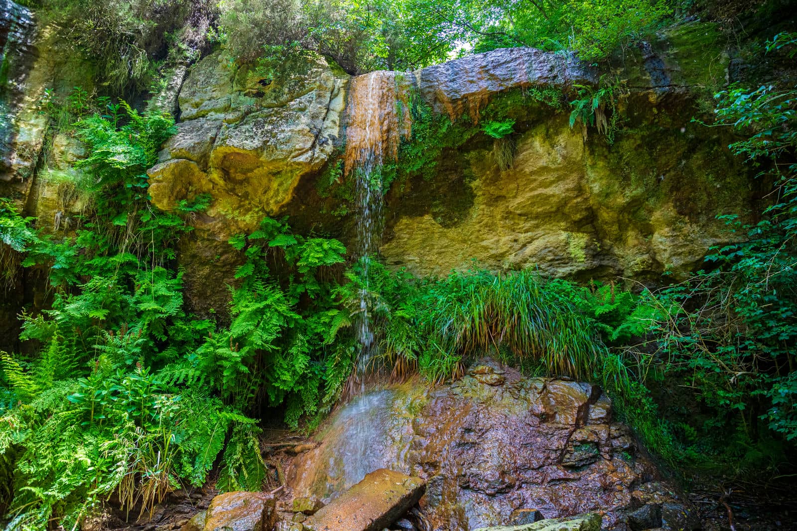 Antica Monterano: il palcoscenico naturale del Lazio 
