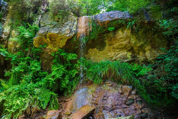 Antica Monterano: il palcoscenico naturale del Lazio