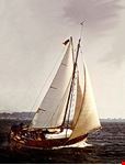 Barca a vela