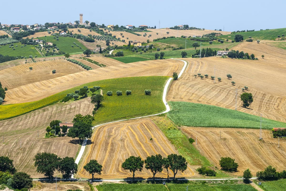montecassiano_127185923