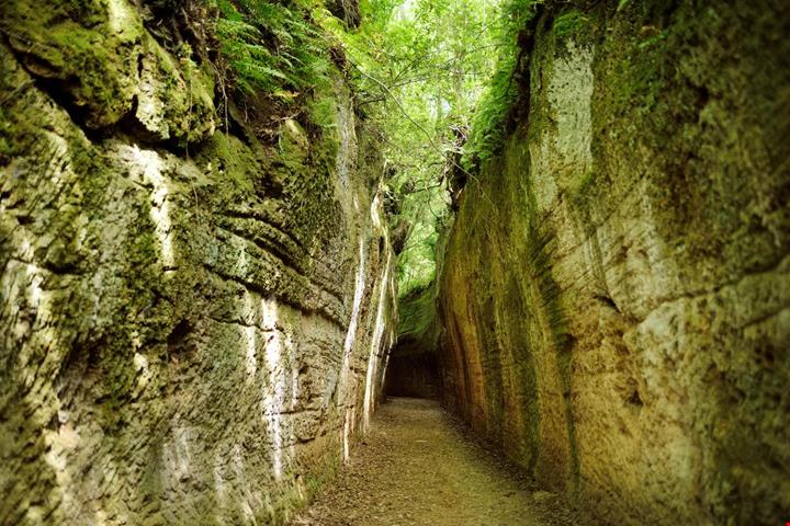 vie-cave_2117387045