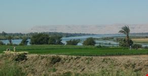 hurgada piante lussureggianti sul nilo