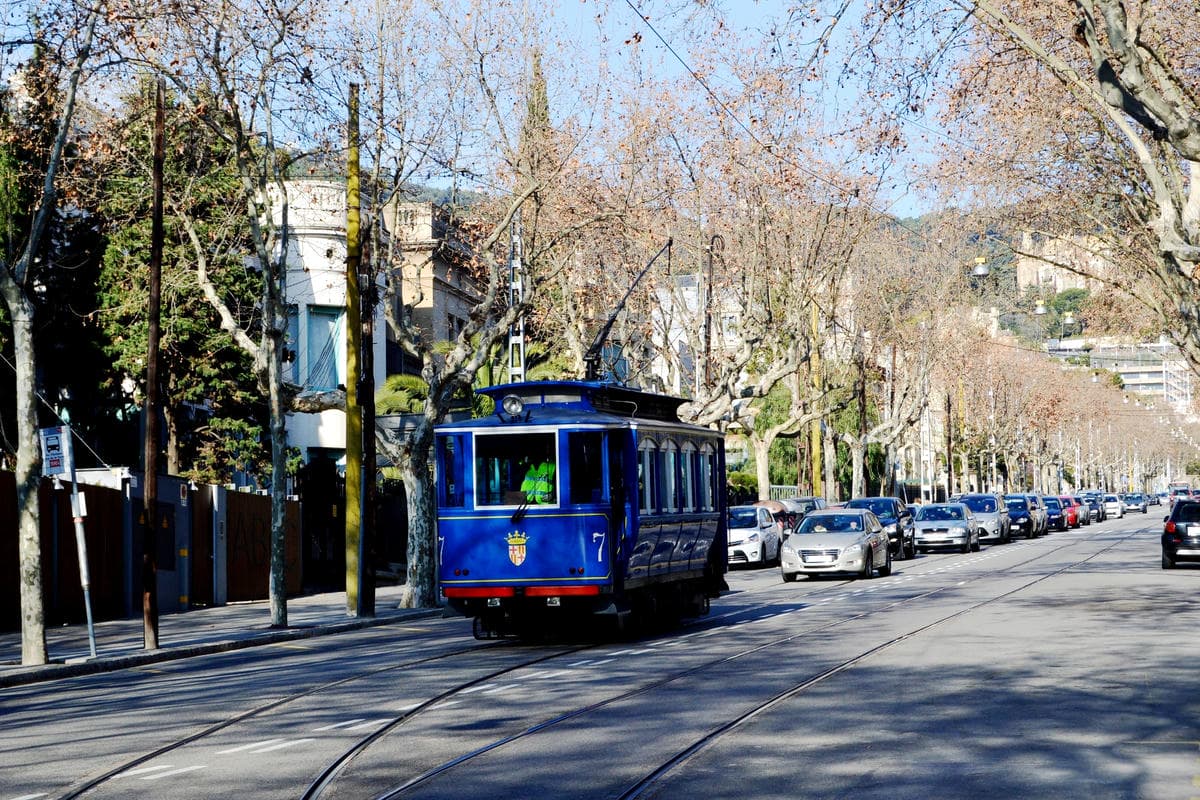 Con pochi euro puoi scoprirle come un local: in queste città i mezzi pubblici hanno davvero un'altra marcia