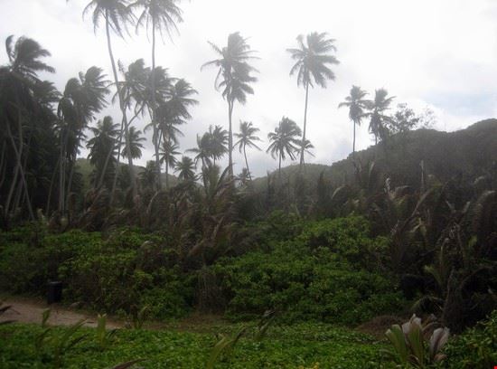 La più piccola delle Seychelles La Digue Viviana Riva Viviana Riva