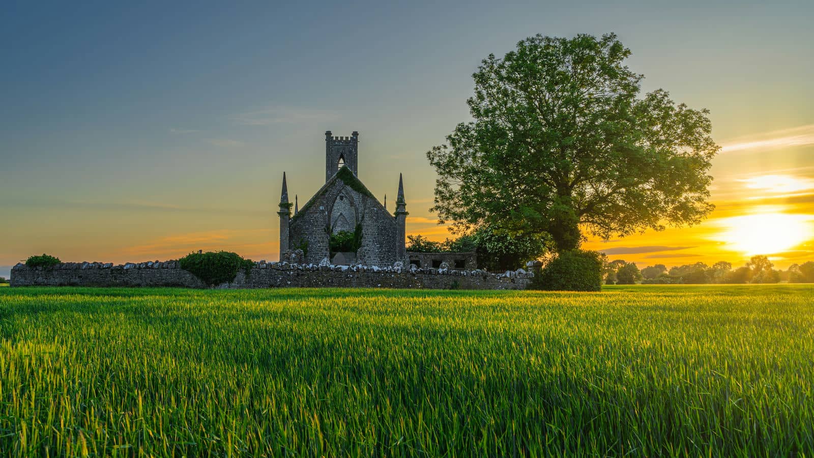 kildare_2257551407