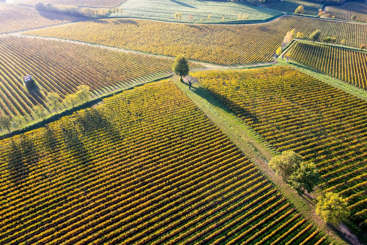 Un angolo di pace nella Lombardia che produce: qui il caos del quotidiano scompare e il silenzio si respira