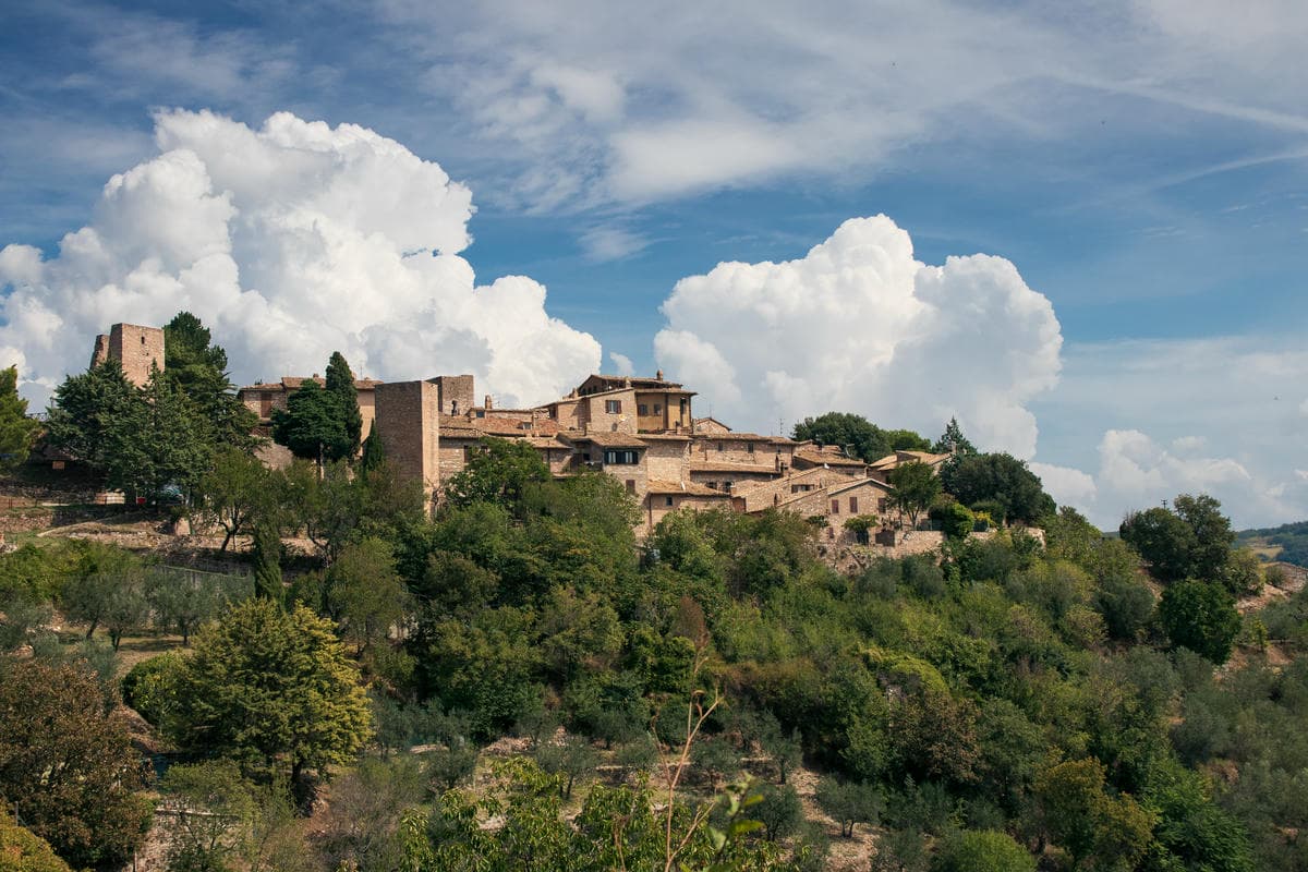 collepino_1289093983