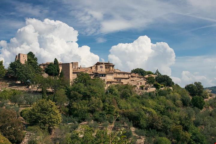 collepino_1289093983