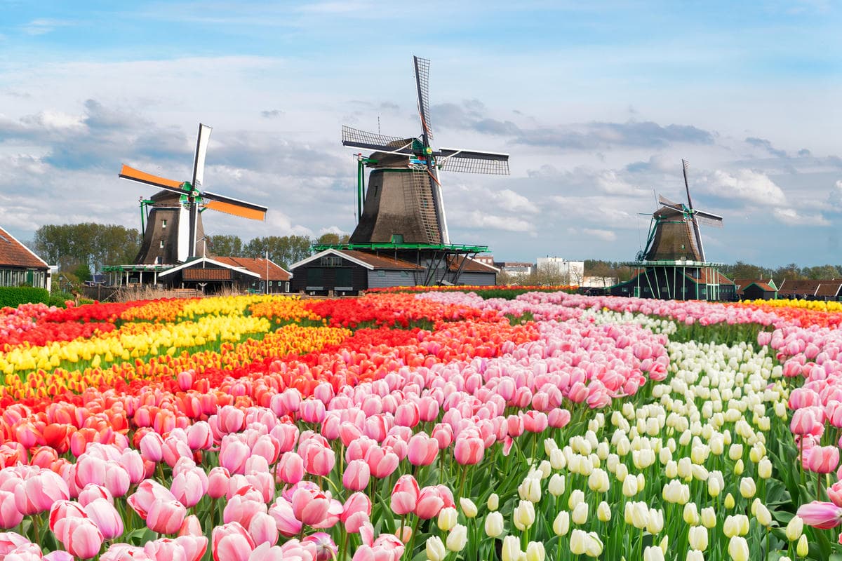 Zaanse-Schans_2507926877