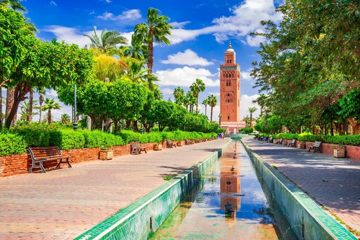 Marrakesh_2474402499