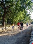 I fragni di Portoselvaggio