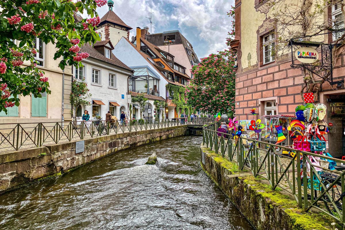 In questa città da 700 anni scorrono dei piccoli canali tra le strade del centro: la loro è una storia di fortuna e ambiente