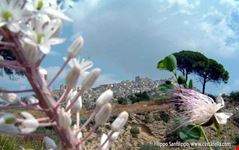 Agira, paesaggio