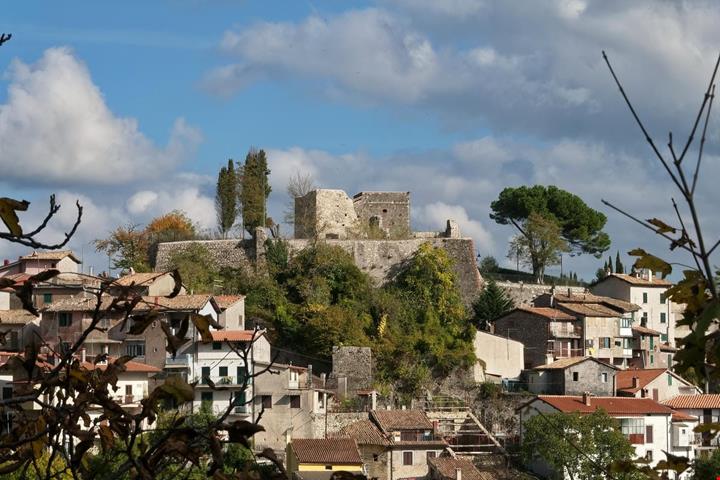 vivaro_romano_2289513367