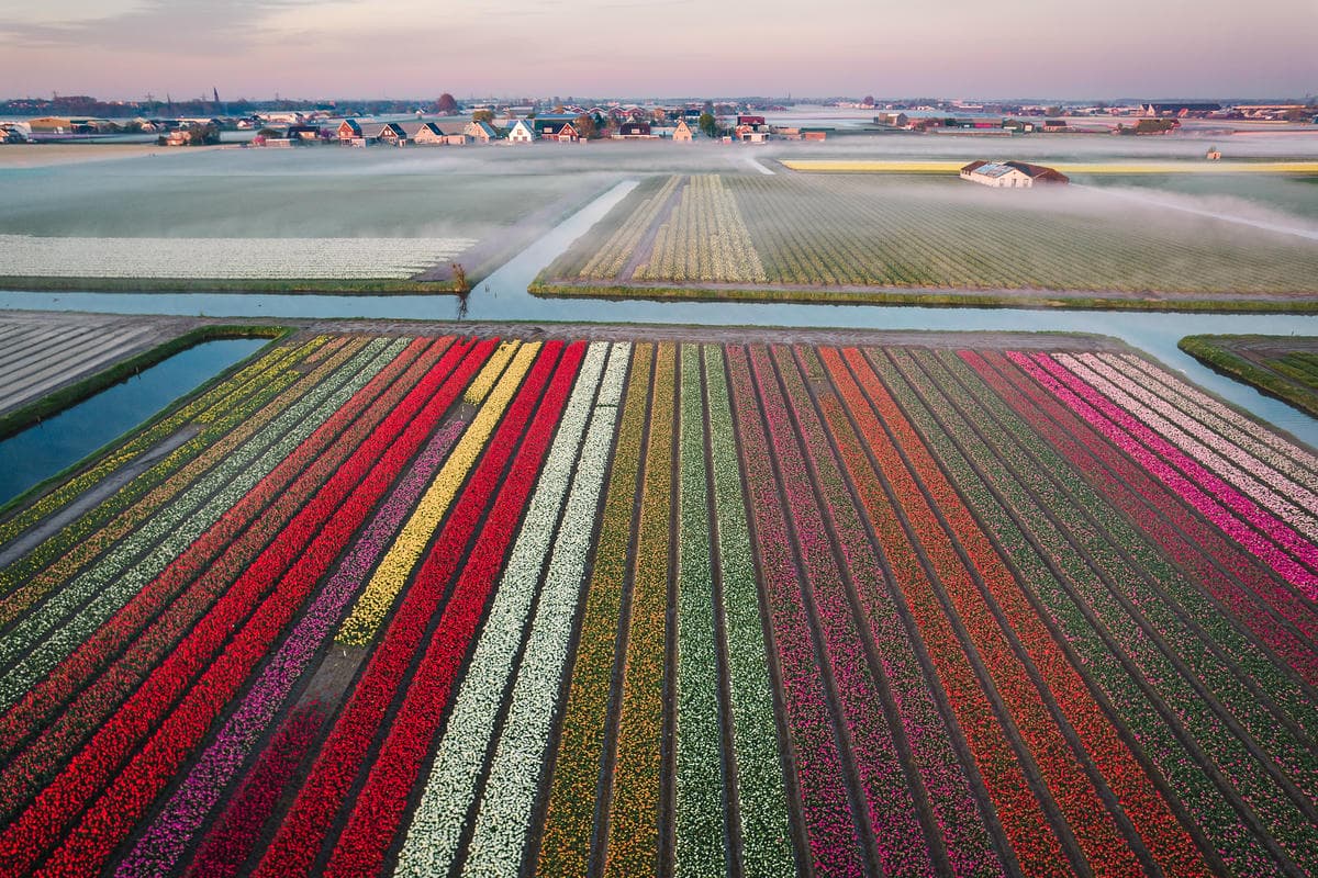 Sembra un dipinto impressionista ma è a due passi dalla città: il giardino segreto che esplode di colori in primavera