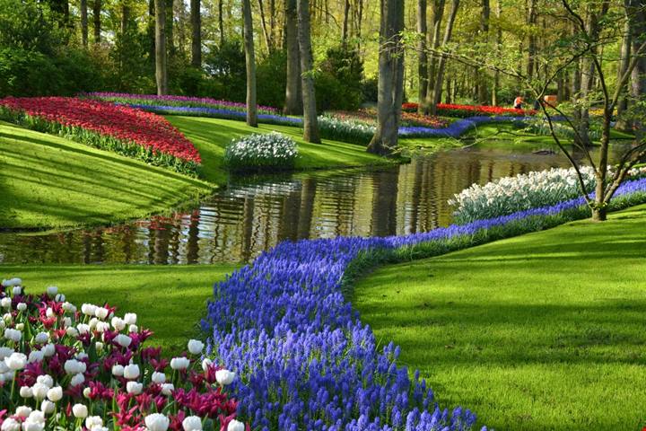 Sembra un dipinto impressionista ma è a due passi dalla città: il giardino segreto che esplode di colori in primavera