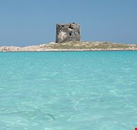 17723_stintino_la_splendida_spiaggia 17723_stintino_la_splendida_spiaggia