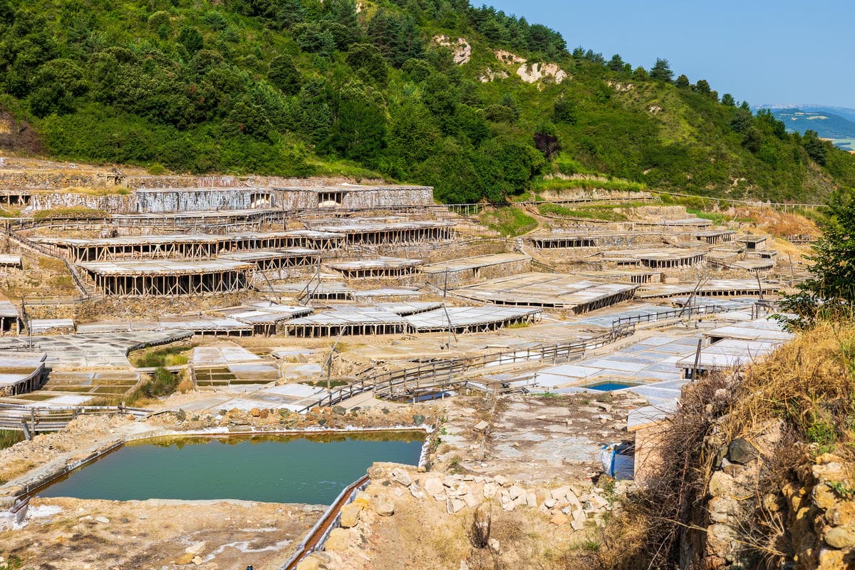È l’unica salina di superficie al mondo: qui si estrae l'oro bianco che costa più di 40 euro al chilo