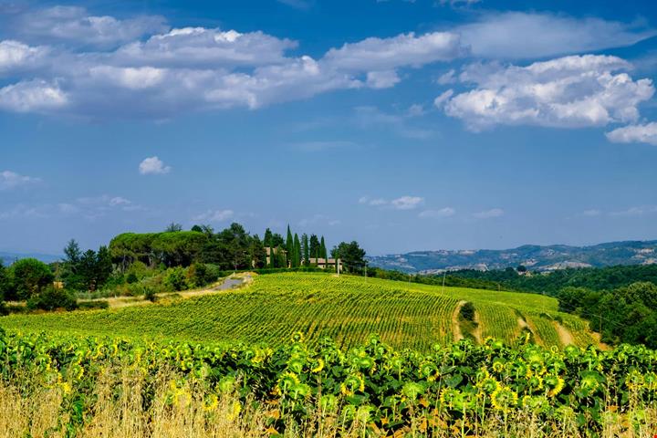case dei vip in italia_1036309687