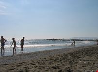 località Ronchi la spiaggia davanti al WWF