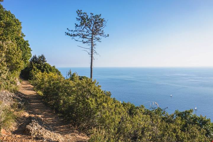 Un monastero dell'anno Mille protetto dalle acque del mare: in Liguria c'è una delle abbazie più belle d'Italia