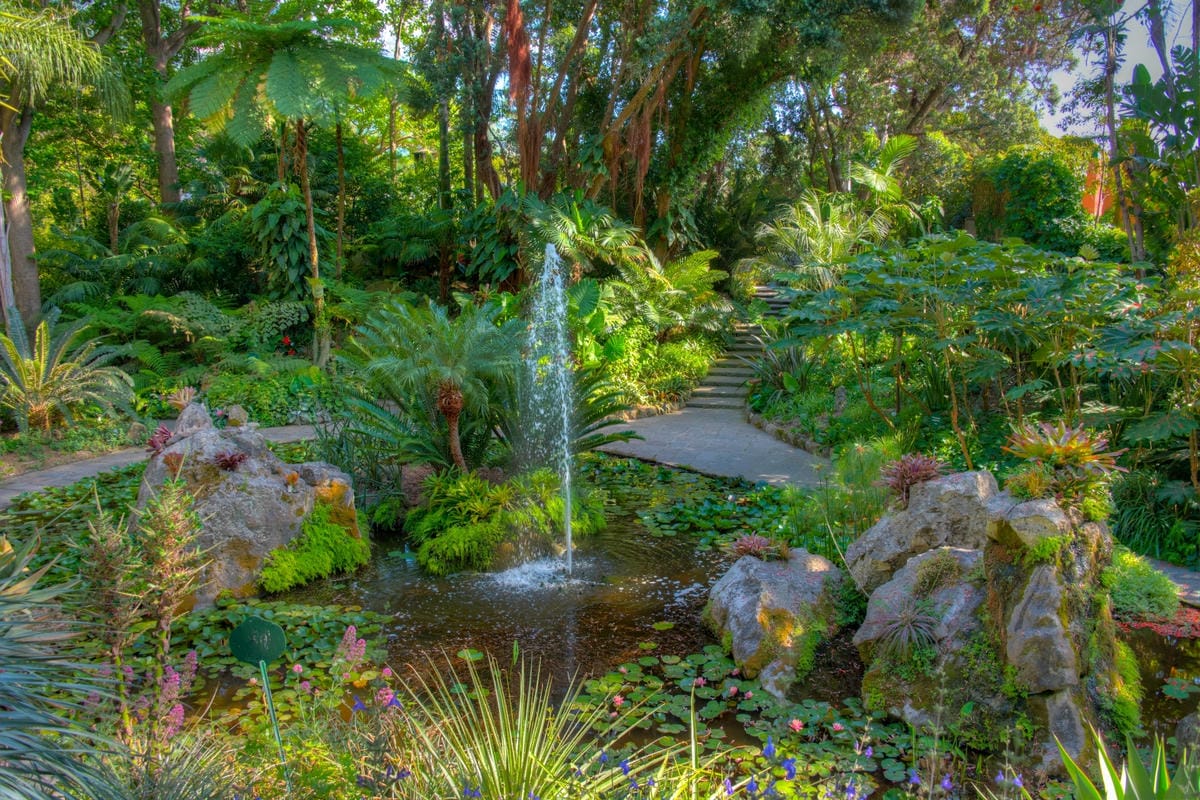 Non serve volare in Giappone per vedere le fioriture: 7 incredibili giardini in Italia dove fare un viaggio nei colori