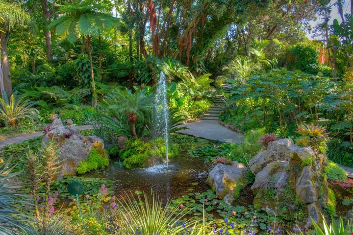 Non serve volare in Giappone per vedere le fioriture: 7 incredibili giardini in Italia dove fare un viaggio nei colori