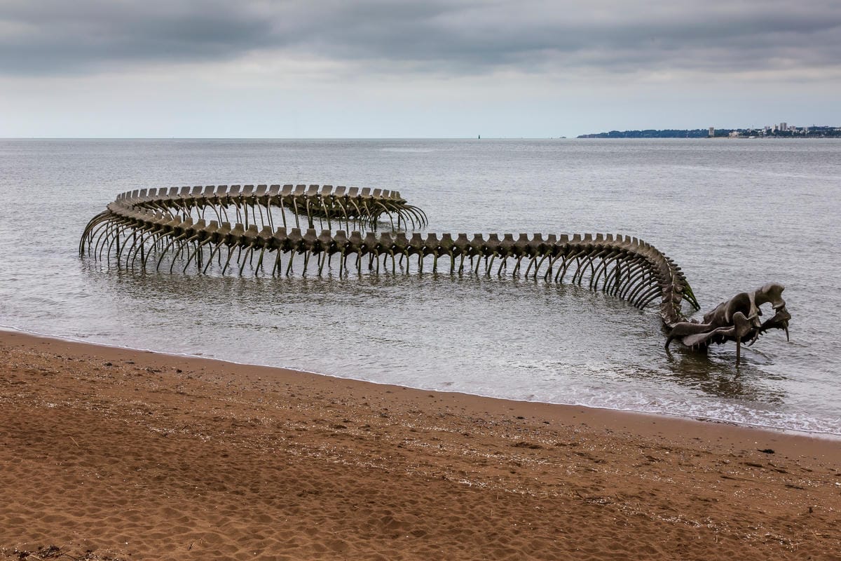 serpent_ocean_2066863265