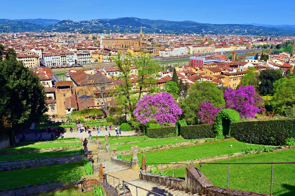Un tunnel naturale che dura solo 10 giorni: in Toscana per scoprire la meraviglia dei fiori viola